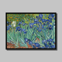 Load image into Gallery viewer, Irises by Vincent van Gogh. Print Framed Unmounted / 14x11&quot; (35.5x28cm) / Black - Exact Art
