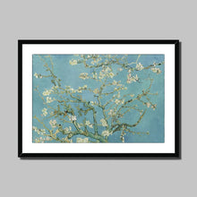 Load image into Gallery viewer, Blossoming Almond Tree by Vincent van Gogh. Print Framed Mounted / 14x11&quot; (35.5x28cm) / White - Exact Art

