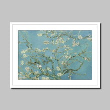 Load image into Gallery viewer, Blossoming Almond Tree by Vincent van Gogh. Print Framed Mounted / 16x12&quot; (40x30cm) / White - Exact Art
