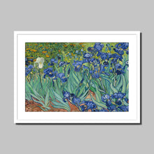 Load image into Gallery viewer, Irises by Vincent van Gogh. Print Framed Mounted / 14x11&quot; (35.5x28cm) / White - Exact Art
