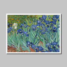 Load image into Gallery viewer, Irises by Vincent van Gogh. Print Framed Unmounted / 14x11&quot; (35.5x28cm) / White - Exact Art
