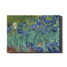 Load image into Gallery viewer, Irises by Vincent van Gogh. Canvas / 14x11&quot; (35.5x28cm) / N/A - Exact Art
