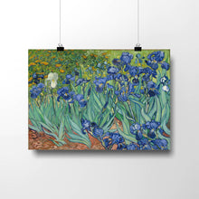 Load image into Gallery viewer, Irises by Vincent van Gogh.  - Exact Art
